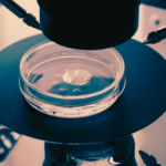 EmbryoGlue: cos’è e come funziona